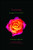 Everlasting - 9781442409170 by Elizabeth Chandler, 9781442409170