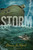 Storm - 9781481403023 by Donna Jo Napoli, 9781481403023