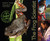 The Frog Scientist by Pamela S. Turner, Andy Comins, 9780547576985