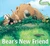 Bear's New Friend - 9781416954385 by Karma Wilson, Jane Chapman