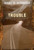Trouble by Gary D. Schmidt, 9780547331331