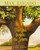 The Oak Inside the Acorn - 9781400317332 by Max Lucado, George Angelini, 9781400317332