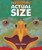 Prehistoric Actual Size - 9780544582385 by Steve Jenkins, 9780544582385