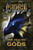 The Realms of the Gods - 9781481440288 by Tamora Pierce, 9781481440288