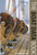 Boat Data Book by Ian Nicolson, 9781574091977