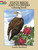 State Birds and Flowers Coloring Book by Annika Bernhard, 9780486264561