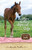 Southern Belle's Special Gift by Marsha Hubler, 9780310717942