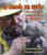 La camada con suerte: cachorros de lobo rescatados de un incendio forestal (Lucky Litter, The: Wolf Pups Rescued from Wildfire) (Spanish Edition) by Jennifer Keats Curtis, John Gomes, 9781628557206