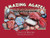 Amazing Agates (Lake Superior's Banded Gemstone) by Scott F. Wolter, 9780979200694