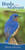Birds of the Midwest (Identify Backyard Birds with Ease) by Stan Tekiela, 9781591934066