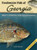 Freshwater Fish of Georgia Field Guide (Miniature Edition) by Dave Bosanko, 9781591932635