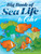 Big Book of Sea Life to Color by Ruth Soffer, Anthony D'Attilio, Lucia de Leiris, 9780486466811