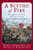 A Scythe of Fire (Through the Civil War with One of Lee's Most Legendary Regiments) by Steven E. Woodworth, 9780060542290