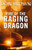 Fire of the Raging Dragon by Don Brown, 9780310330158