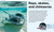 Pocket Genius Sharks (Facts at Your Fingertips) by DK, 9781465445926