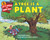 A Tree Is a Plant - 9780062382108 by Clyde Robert Bulla, Stacey Schuett, 9780062382108