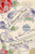 A Changed Man (A Novel) by Francine Prose, 9780060560034