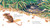 Python (Read and Wonder) - 9780763687731 by Christopher Cheng, Mark Jackson