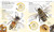 The Bee Book (Discover the Wonder of Bees and How to Protect Them for Generations to Come) by DK, Emma Tennant, Fergus Chadwick, 9781465443830