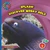 Discover Moray Eels by Kathryn Beaton, 9781633626010