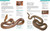 Snake (The Essential Visual Guide) by Chris Mattison, 9781465443793