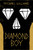 Diamond Boy - 9780316320689 by Michael Williams, 9780316320689
