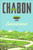 Summerland (A Novel) - 9780062418081 by Michael Chabon, 9780062418081