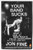 Your Band Sucks (What I Saw at Indie Rock's Failed Revolution (But Can No Longer Hear)) by Jon Fine, 9780143108283