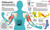How the Body Works (The Facts Simply Explained) by DK, 9781465429933