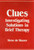 Clues (Investigating Solutions in Brief Therapy) by Steve de Shazer, 9780393700541