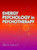 Energy Psychology in Psychotherapy (A Comprehensive Source Book) by Fred P. Gallo, 9780393703467