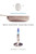 What Einstein Told His Cook (Kitchen Science Explained) by Robert L. Wolke, 9780393329421