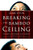 Breaking the Bamboo Ceiling (Career Strategies for Asians) by Jane Hyun, 9780060731199