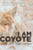 I Am Coyote by Geri Vistein, 9780884484660