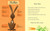 Hare and Tortoise ((A Whimsical Retelling of the Classic Fable Emphasizing Perseverance, Patience, and Determination - Retold for Ages 2-5)) by Alison Murray, Alison Murray, 9780763687212