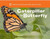 Caterpillar to Butterfly by American Museum of Natural History, Melissa Stewart, 9781454914068
