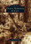 Ocala National Forest by Dr. Robert Norman, Gene Gallant, 9780738586106