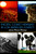 Pacific Coast Highway in Los Angeles County by Carina Monica Montoya Forsythe, 9781626190207