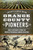 Orange County Pioneers (Oral Histories from the Works Progress Administration) by Chris Epting, 9781626197589