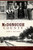 Remembering McDonough County by John E. Hallwas, 9781596298385