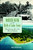 Hudson Bend and the Birth of Lake Travis: (Transforming the Hills West of Austin) by Carole McIntosh Sikes, 9781626196674