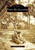 Fort McAllister by Roger S. Durham, 9780738516851