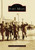 Fort Miles by Dr. Gary Wray, Lee Jennings, 9780738541952