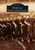 Sports of Santa Cruz County by Geoffrey Dunn, 9781467130073