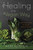 Healing the Vegan Way (Plant-Based Eating for Optimal Health and Wellness) by Mark Reinfeld, 9780738217772