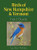 Birds of New Hampshire & Vermont Field Guide (Miniature Edition) by Stan Tekiela, 9781591936404 Birds of New Hampshire & Vermont Field Guide (Miniature Edition) by Stan Tekiela, 9781591936404