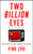 Two Billion Eyes by Ying Zhu, 9781595589798