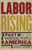 Labor Rising (The Past and Future of Working People in America) by Richard Greenwald, Daniel Katz, 9781595585189