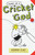 Diary of a Cricket God by Shamini Flint, Sally Heinrich, 9781742378268