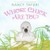 Whose Chick Are You? (An Easter And Springtime Book For Kids) by Nancy Tafuri, Nancy Tafuri, 9780060825140